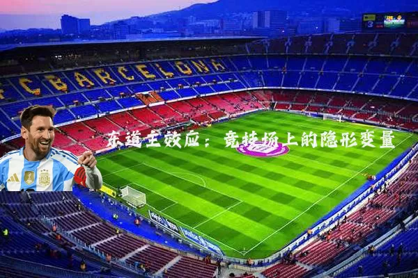 东道主效应：竞技场上的隐形变量